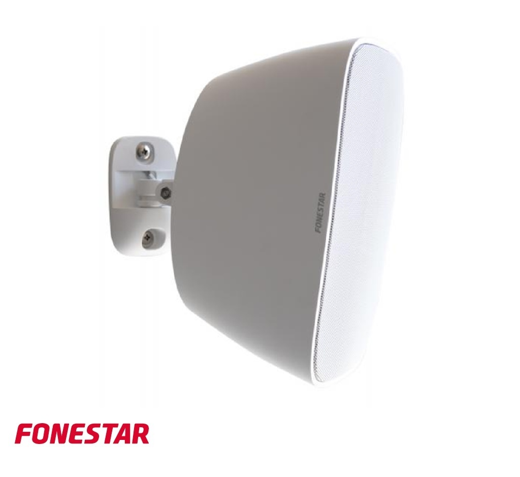 Background Music System For Cafe, Restaurant, DYNAMAX P250VUB 250W PA Amplifier, Fonestar Sonora-5TN 5 ¼