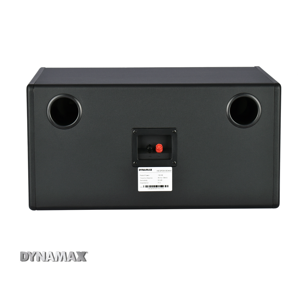 DYNAMAX BS450 10” 150W Professional Karaoke Speaker