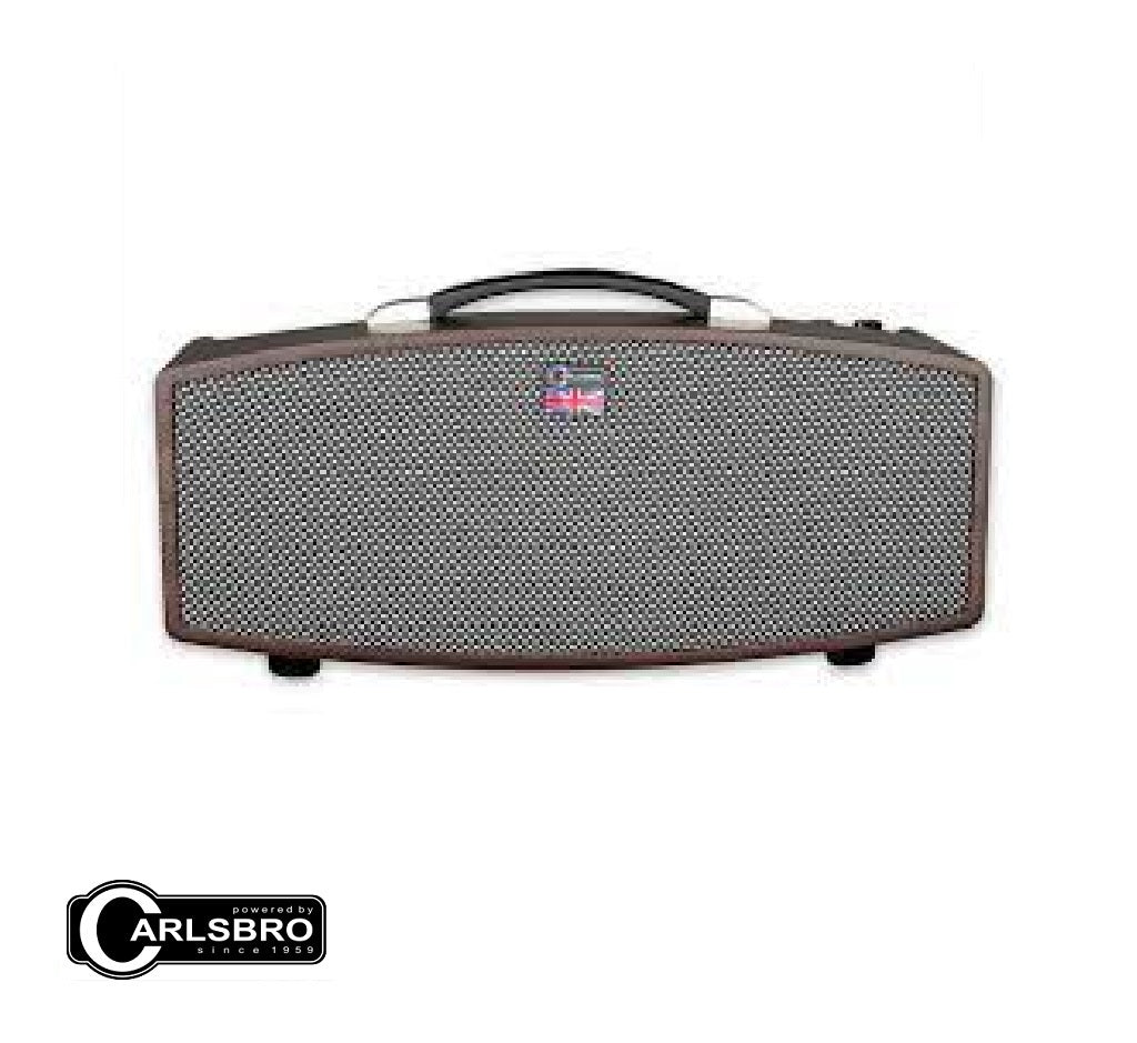 Carlsbro Stingray D10 20 Watts Modeling Guitar Amplifier