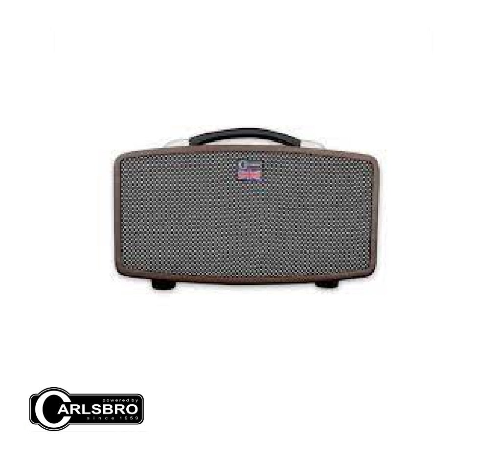 Carlsbro Stingray D5 20 Watts Modeling Guitar Amplifier