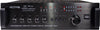 NESTPRO MXBS15 Professional Swiftlet Stereo Digital Amplifier